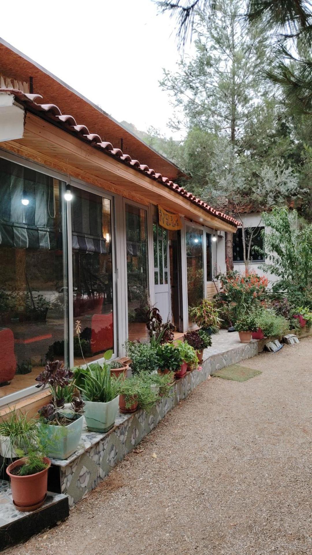 Bovilla Canyon Dajt Exterior photo